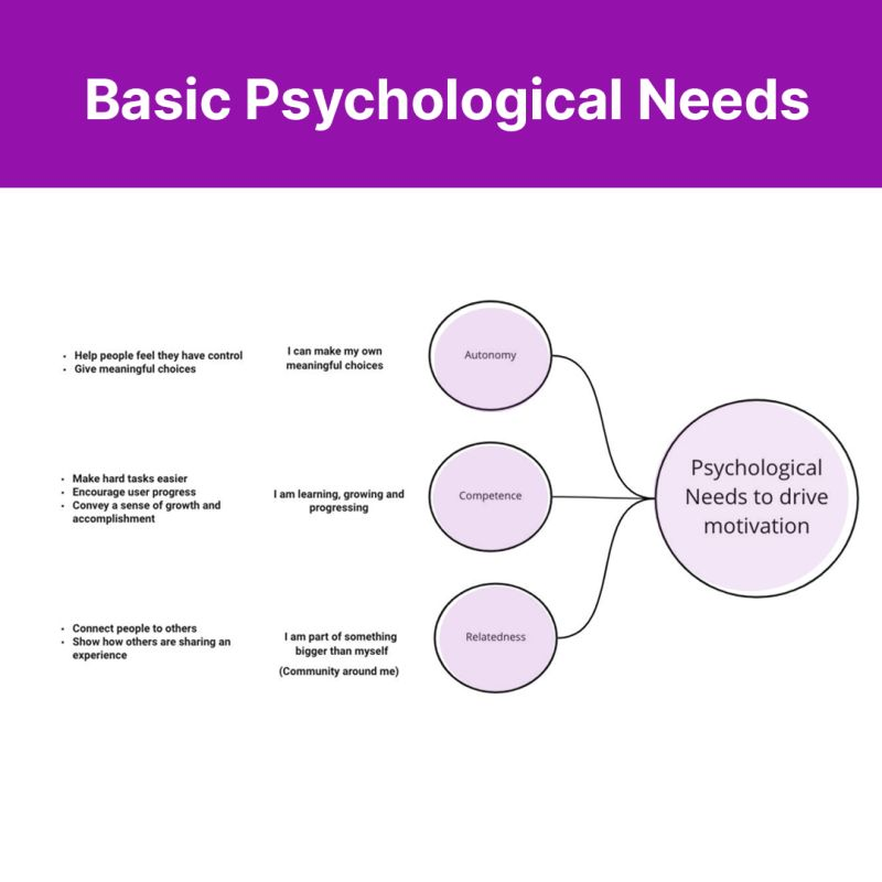 basic psychological needs of user motivation